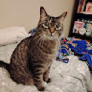 Meet your Posher, Kimberly